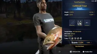 BEST DIAMOND 💎 Cutthroat trout spot !!!