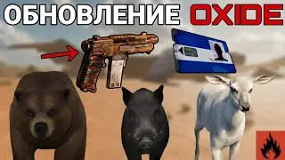 OIL RIG, NEW WEAPON, ANIMAL PROCESSING AND A CRUSHED PLANE – OXIDE UPDATE.