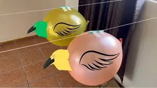 🎈Carrera de globos - 3ra ley de Newton experimentó escolar 