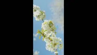 Очень сильный заговор от злых языков