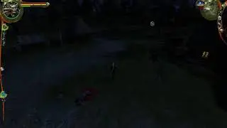 The Witcher