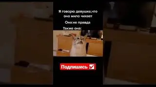 Девушка Мило Чихает🤣🤣🤣