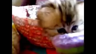 My Edited Video