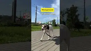 Добрая и немного застенчивая🥰 