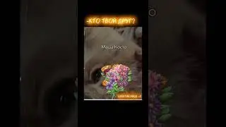 Котя обожает это место, всегда на нём спит =3 #врек