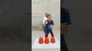 udi udi jaaye 