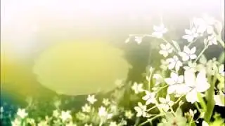 Одежда с AliExpress - Красивое платье спагетти