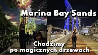 Singapur. Port i Marina Bay Sands z Gardens by the Bay w Singapurze, Chodzimy po magicznych drzewach