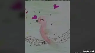 Untitled video