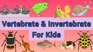 Vertebrate And Invertebrate For Kids| Vertebrate Animals| Invertebrate Animals| Educational Video