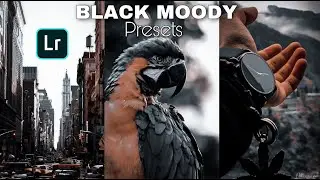Lightroom Mobile Presets DNG Free Download | Adobe Lightroom presets 2023 | Black Moody Preset ios
