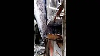 LZZG LSX пескомойка спиральная
