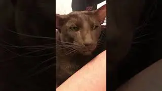 ❤️Марсель❤️