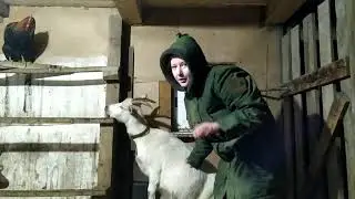 Заболела КОЗА, не знаю что делать.../ помогите, коза умирает...Часть 1
