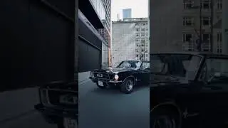 Mustang 1968 Francfort city vibes