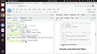 terminal: Modify your file system