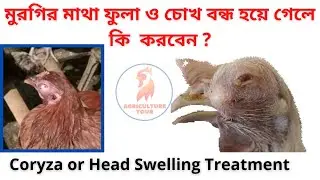 Coryza or Head Swelling treatment | Agriculture Tour