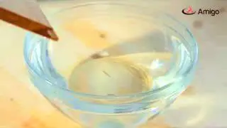 ролик короткий 2