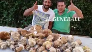 Estatini di Faggio - Luglio 2016