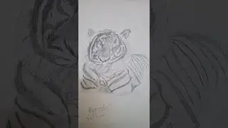 realistic art of tiger with pencil #reels #viral #viral