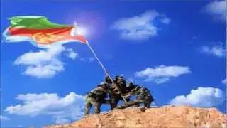 Young EPLF Paltalk chat room