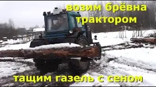 Перекладываем трактором МТЗ, брёвна. Газель приехала за сеном и не доехала, пришлось тащить.