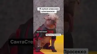 Классное шампанской?! #wine #юмор