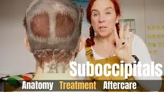 Might four - Suboccipitals - [Anatomy, Treatment, Aftercare]