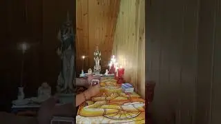 ОН 👦 МНЕ ПЕРЕДАЛ, ЧТО НЕ МОЖЕТ БЕЗ ВАС ЖИТЬ!!! / PROTARO 1233