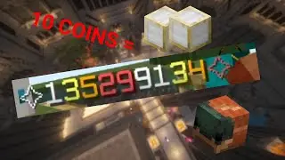 Dealing 29 Million Damage In A Single Hit (Hypixel Skyblock)