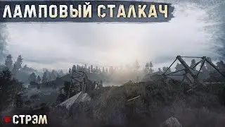 S.T.A.L.K.E.R. | ANOMALY CUSTOM | ЛАМПОВОЕ ВЫЖИВАНИЕ (1)