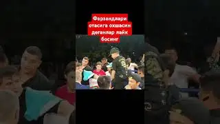 #murod #mma #rek #mmanews #бой #shortvideo #мма #mahmudmurodov