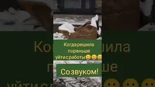 КАК НУЖНО УХОДИТЬ  РАБОТЫ😀ОЧЕНЬ БЫСТРО😀