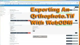 How To Export WebODM Ortho Tifs
