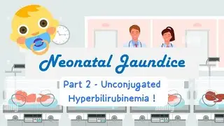 Neonatal Jaundice (2/ 4): Unconjugated Hyperbilirubinema
