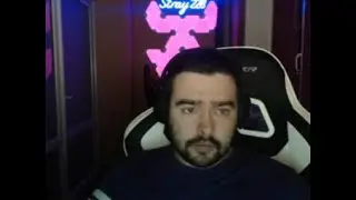 СТРЕЯ НАЗВАЛИ КРЫСОЙ, НО ОН СДЕРЖАЛСЯ!/#Stray228