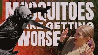How mosquitoes track you