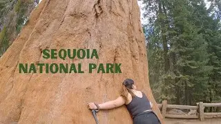 Sequoia National Park: Lodgepole, General Sherman, and Tokopah Falls