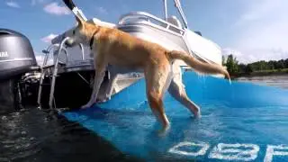 2015 08   Elka Swimming At The Lake