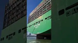 GIANT Container ship! - EVER ACE 🚢