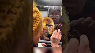 Art that confuses everyone 🤯 