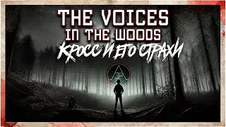 The Voices in the Woods: Кросс и Eго Cтрахи