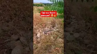 Как же вас не хватало