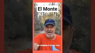 😁EL JABALÍ 🐗