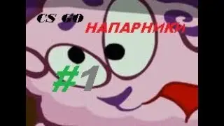 CS GO- |Напарники| #1 Попался читер ( первая половина катки)