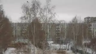 Вороний ночлег 😄