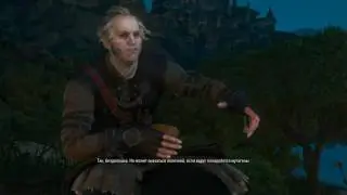 Conversation with Regis if you don't kill Dettlaff