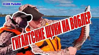 ЩУКИ ЗВЕРЕЮТ НА ТАКОЙ ВОБЛЕР ! ГИГАНТЫ КЛЮЮТ БЕЗ ОСТАНОВКИ / ОТКРЫЛИ СЕЗОН РЫБАКА 2024