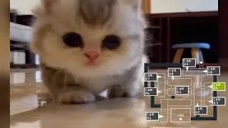 fnaf cat edition