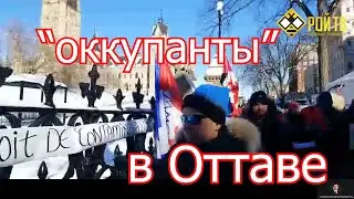 «Конвой Свободы»: «оккупанты» в Оттаве